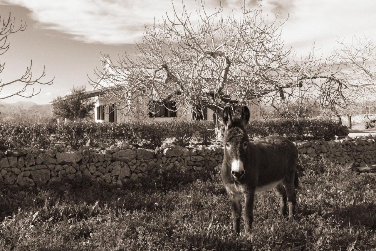 155 Finca Son Rossignol By Mallorca Charme ซีเนว ภายนอก รูปภาพ