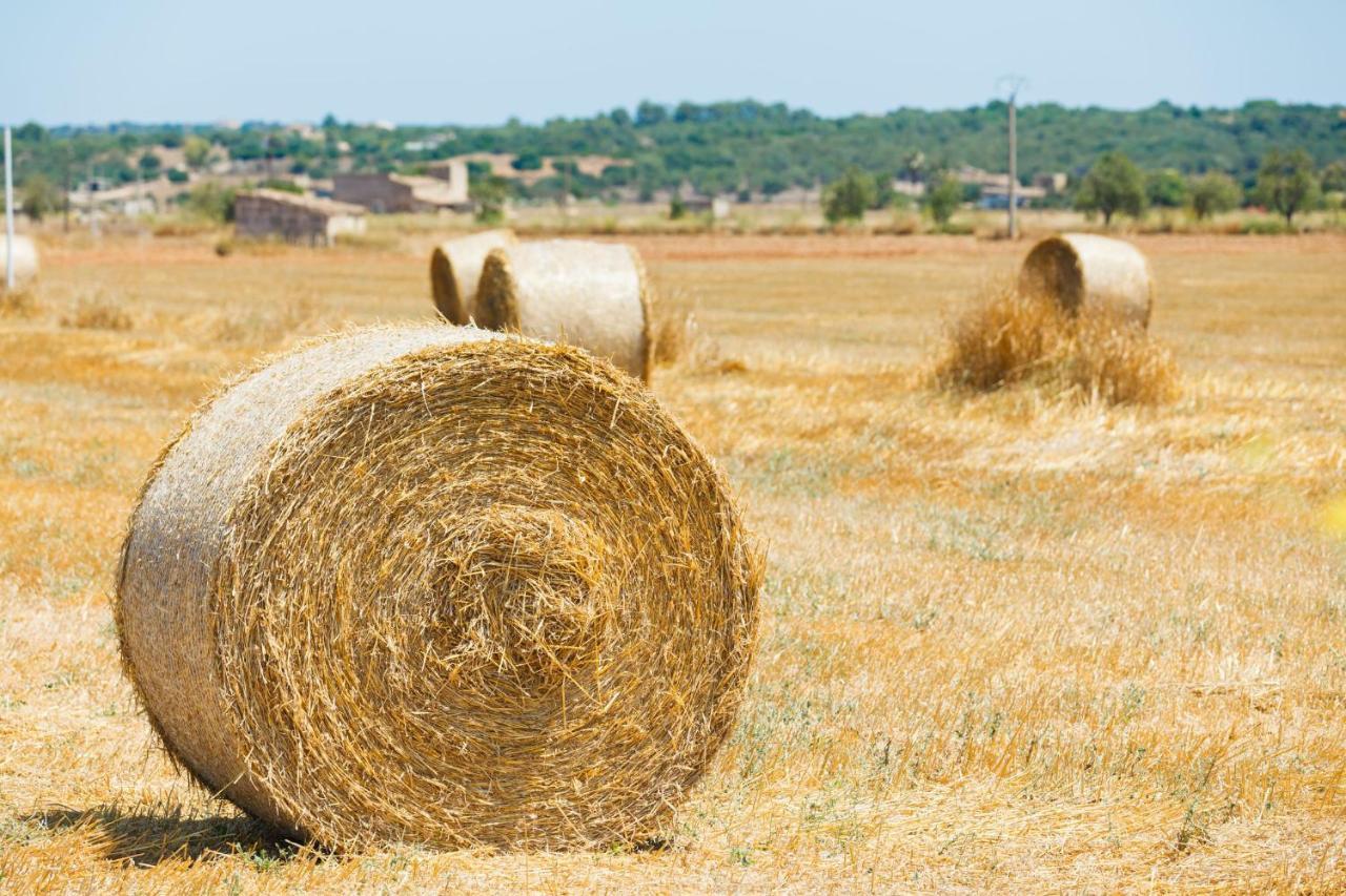 155 Finca Son Rossignol By Mallorca Charme ซีเนว ภายนอก รูปภาพ