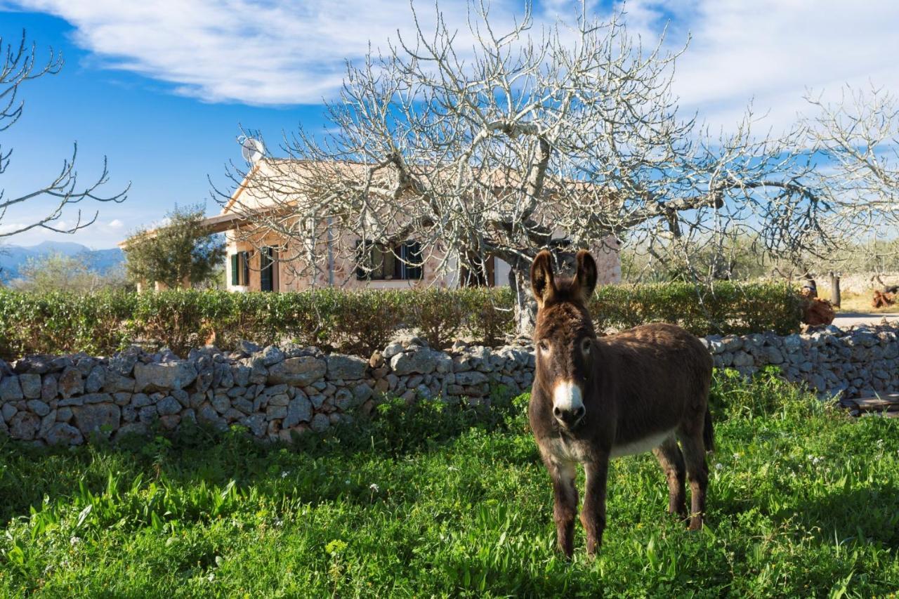 155 Finca Son Rossignol By Mallorca Charme ซีเนว ภายนอก รูปภาพ